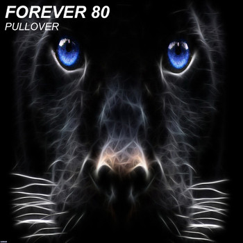 Forever 80 - Pullover