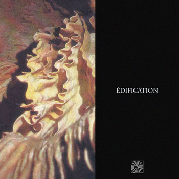 Various Artists - Edification