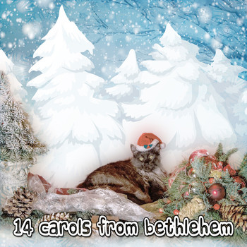 Christmas - 14 Carols From Bethlehem