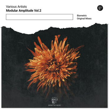 Various Artists - Modular Amplitude Vol.2