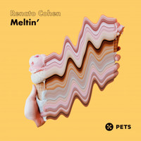 Renato Cohen - Meltin' EP