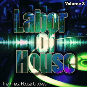 Various Artists - Labor of House, Volume 3 - the Finest House Grooves