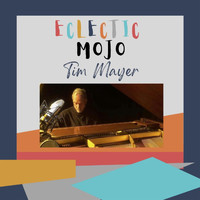 Tim Mayer - Eclectic Mojo