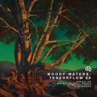 Moody Waters - Tensorflow EP