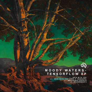 Moody Waters - Tensorflow EP