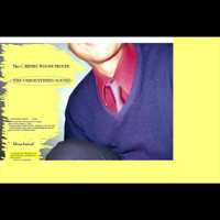 C. Henry Woods Troupe - The Unidentified Sound