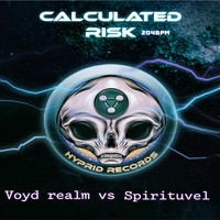 Spirituvel - Calculated Risk
