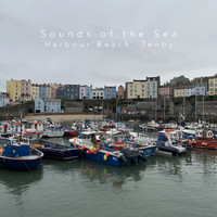 Sounds Of The Sea - Harbour Beach, Tenby