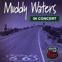 Muddy Waters - In Concert