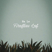 Hà Lê - Fireflies Lof