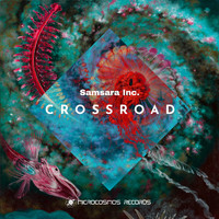 Samsara Inc. - Crossroad