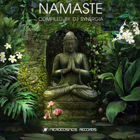 DJ Synergia - Namaste