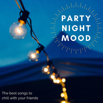 Various Artists - Party Night Mood ( the Best Songs to Chill with Your Friends )