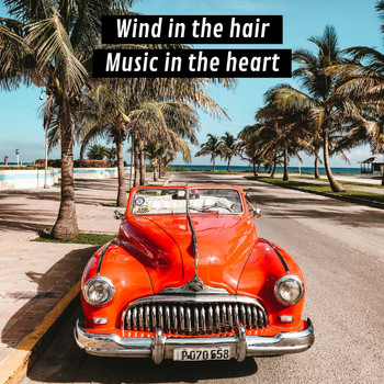 Various Artists - Wind in the Hair, Music in the Heart