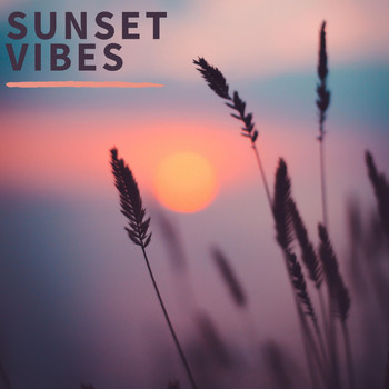 Various Artists - Sunset Vibes