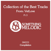 VetLove - Collection of the Best Tracks From: Vetlove, Pt. 3
