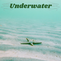 Marco Allevi - Underwater