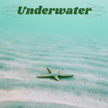 Marco Allevi - Underwater