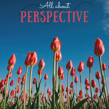 Various Artists - All About Perspective