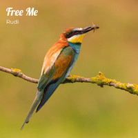 Rudi - Free Me
