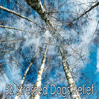 Sleep Baby Sleep - 52 Stressed Dogs Relief