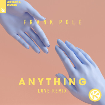 Frank Pole - Anything (LUVE Remix)