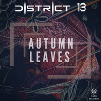 District 13 - Autumn Leaves