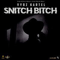 Vybz Kartel - Snitch Bitch (Explicit)