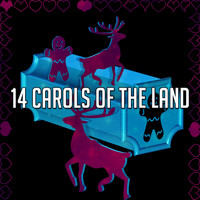 Christmas - 14 Carols Of The Land