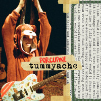 Tummyache - Porcupine