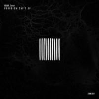 ROWA & Sanoi - Paradigm Shift EP (Extended Mixes)