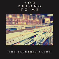 The Electric Seeds - You Belong to Me