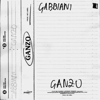 Ganzo - Gabbiani