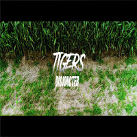 Tigers - Disjoncter (Explicit)