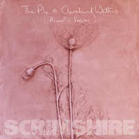 Scrimshire - The Pile (Acoustic Version)