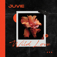 Juvie - Wild Love