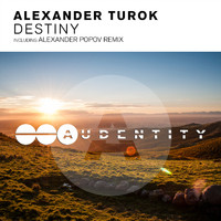 Alexander Turok - Destiny