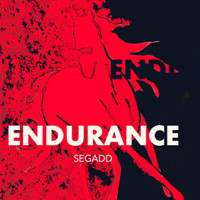 Segadd - Endurance