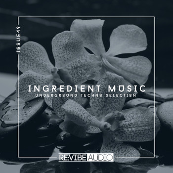 Various Artists - Ingredient Music, Vol. 49