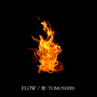 Flow - TOMOSHIBI