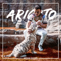 Ardian Bujupi - Arigato