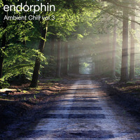 endorphin - Ambient Chill Vol 3