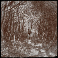 Snowsleep - Hidden Logic