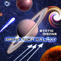 Static Insane - Birds From Galaxy