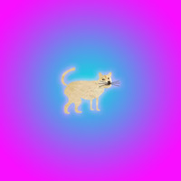 Kodek - Cat Diaper