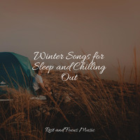 Calming Sounds, Relajación, Musica Relajante - Winter Songs for Sleep and Chilling Out