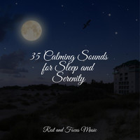 Música para Massagem Especialistas, Avslappning Sound, Zen Meditate - 35 Calming Sounds for Sleep and Serenity
