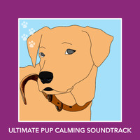 Calm My Dog - Ultimate Pup Calming Soundtrack