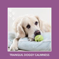 Puppy Relaxation - Tranquil Doggy Calmness