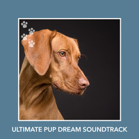 Puppy Relaxation - Ultimate Pup Dream Soundtrack